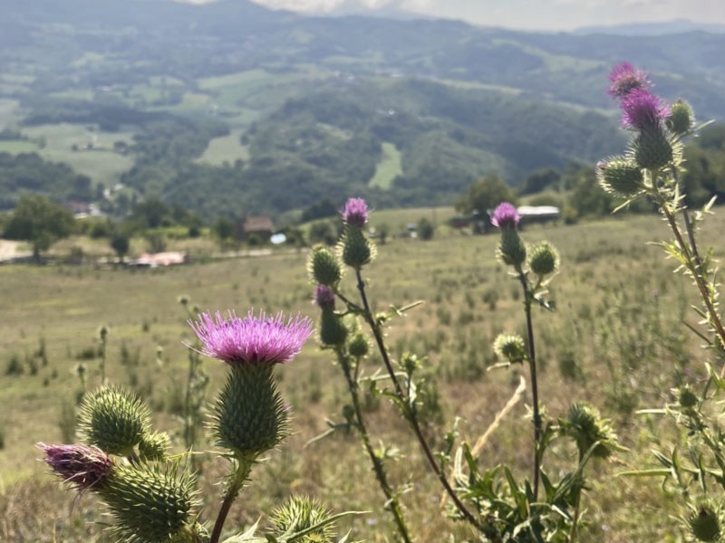 panorama sul Sant'Agata Feltria