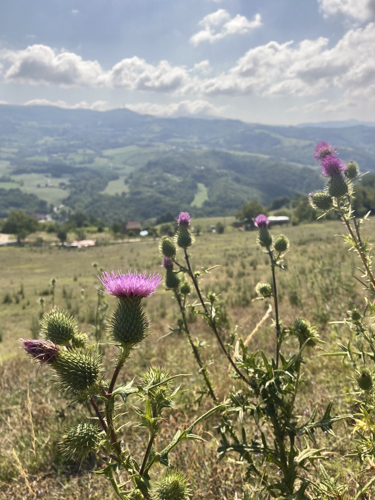 panorama sul Sant'Agata Feltria