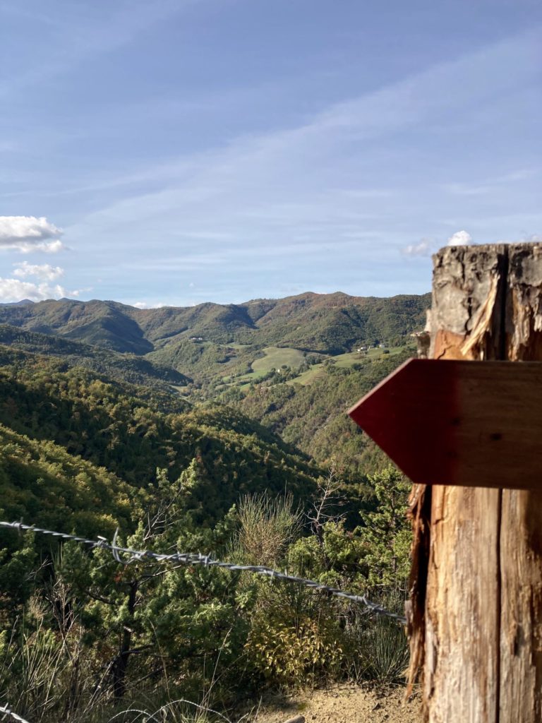 trekking per bambini